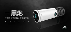 森然黑炮镀金大振模电容麦