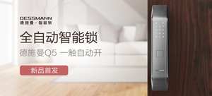 德施曼 Q5全自动智能锁