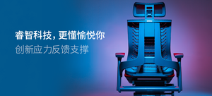 西昊 R1 人体工学椅