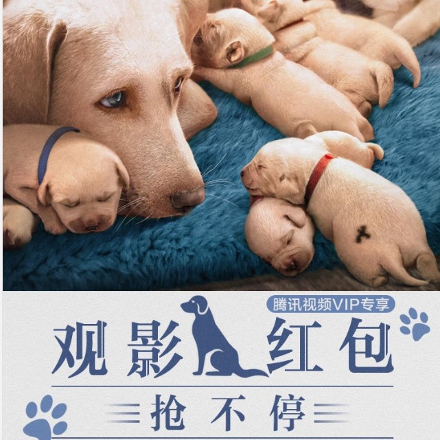 猫眼电影 3-5元通用电影红包