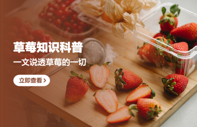 一文说透草莓的一切！关于草莓的那些传言，你知道几个？文末附产品推荐！