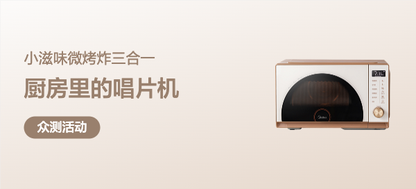 美的小滋味微烤炸一体机