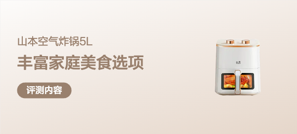 空气炸锅----我认为是除了微波炉以外的家中必备