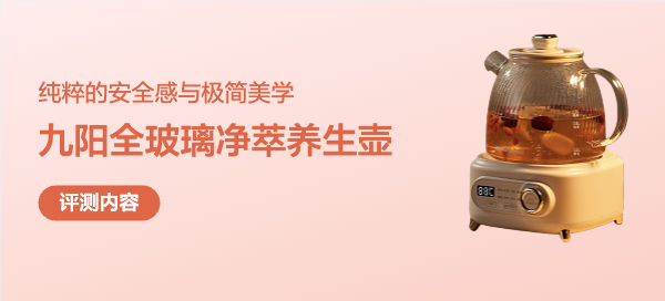 纯粹的安全感与极简美学——九阳全玻璃「0胶水」养生壶深度测评